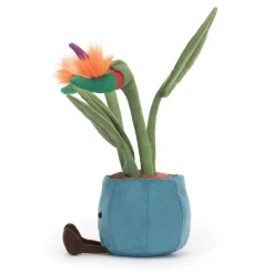 Jellycat Jellycat Valentines|Jellycat Toys^Amuseable Bird of Paradise