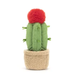 Jellycat Jellycat Valentines|Jellycat Toys^Amuseable Moon Cactus