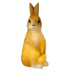 Pilbeam Living Age 5 & 6|Age 4^Bunny Night Light