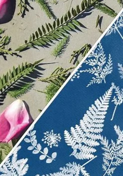 Discovery Zone Art / Craft|Teenager^Cyanotype Sun Photography