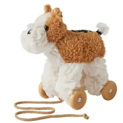 Pilbeam Living Push / Pull|Activity Toys^Dog Plush Pull Along