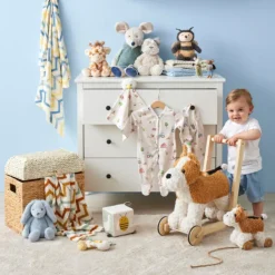 Jiggle u0026 Giggle Walkers / Push Along's|Age 2^Dog Walker