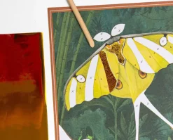 Moulin Roty Art / Craft|Age 11 & 12^Du Monde Fantasy Boards