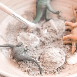 Poppy u0026 Daisy Art / Craft|Age 9 & 10^Fun Fossils Kit