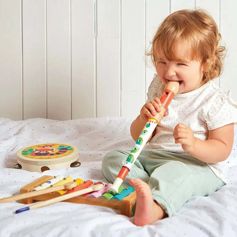 Janod Musical / Auditory|Soft Toys^Gioia Musical Set