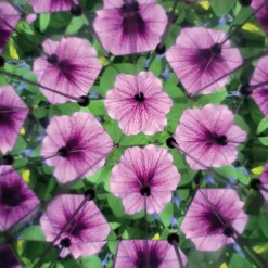 Kikkerland Stem Toys|Nature / Exploration^Interactive Kaleidoscope