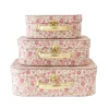 Alimrose Age 7 & 8|Age 5 & 6^Kids Carry Case Set | Rose Garden