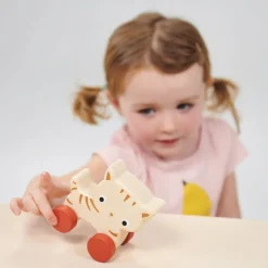 Mentari Age 2|Age 1^Kitten on Wheels