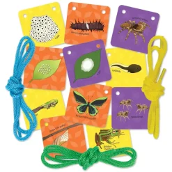 Galt Age 7 & 8|Age 5 & 6^Let's Learn Tiny Creatures