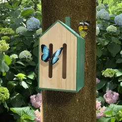 Kikkerland Teenager|Age 11 & 12^Little Butterfly House