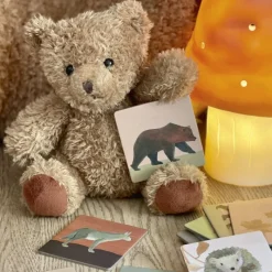 Egmont Toys Games|Age 5 & 6^Memo Forest Game