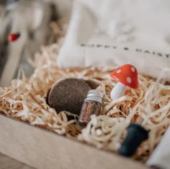 Poppy u0026 Daisy Nature / Exploration|Early Learning^Mini Garden Kit