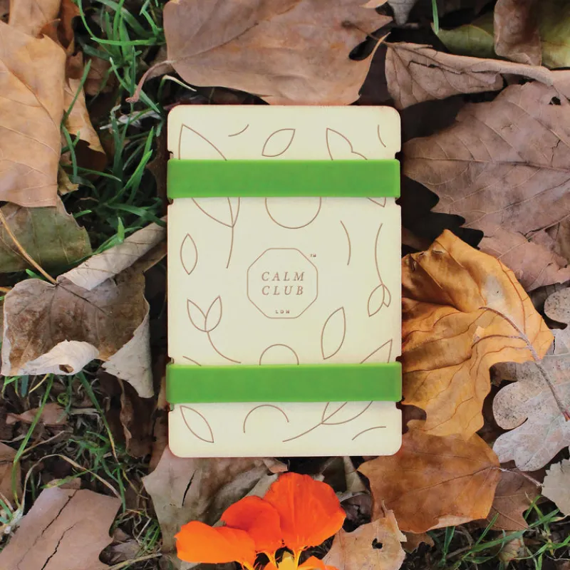 Luckies Art / Craft|Teenager^Pocket -Sized Flower Press