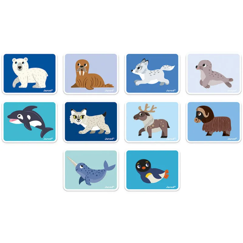 Janod Age 5 & 6|Age 4^Polar Animals Magnetic Book