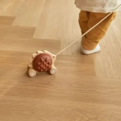 Plan Toys Early Learning|Active Play^Pull Along Hedgehog