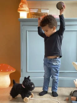 Egmont Toys Push / Pull|Age 2^Pull-Along Walter