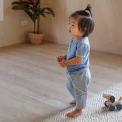 Plan Toys Active Play|Push / Pull^Push and Pull Puppy
