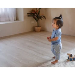 Plan Toys Active Play|Push / Pull^Push and Pull Puppy