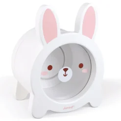 Janod Age 7 & 8|Age 5 & 6^Rabbit Moneybox