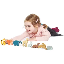 Tender Leaf Toys Small World Play|Age 5 & 6^Woodland Animal Display Shelf Set