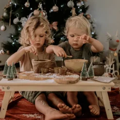 The Little Potion Co Magic Potion Kits^Xmas Eve Potion - Call the Reindeer